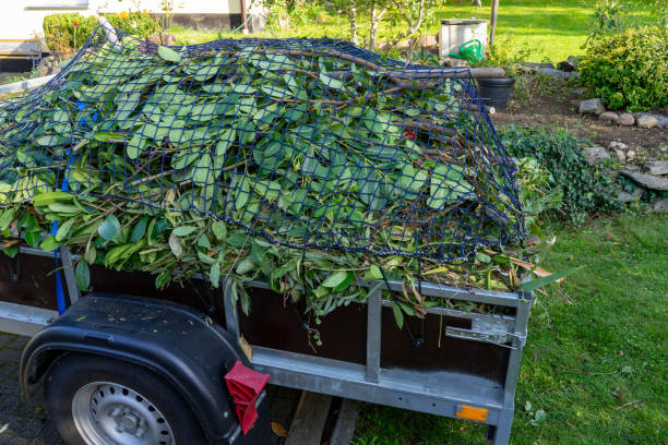 Best Carpet Removal and Disposal  in Holmen, WI